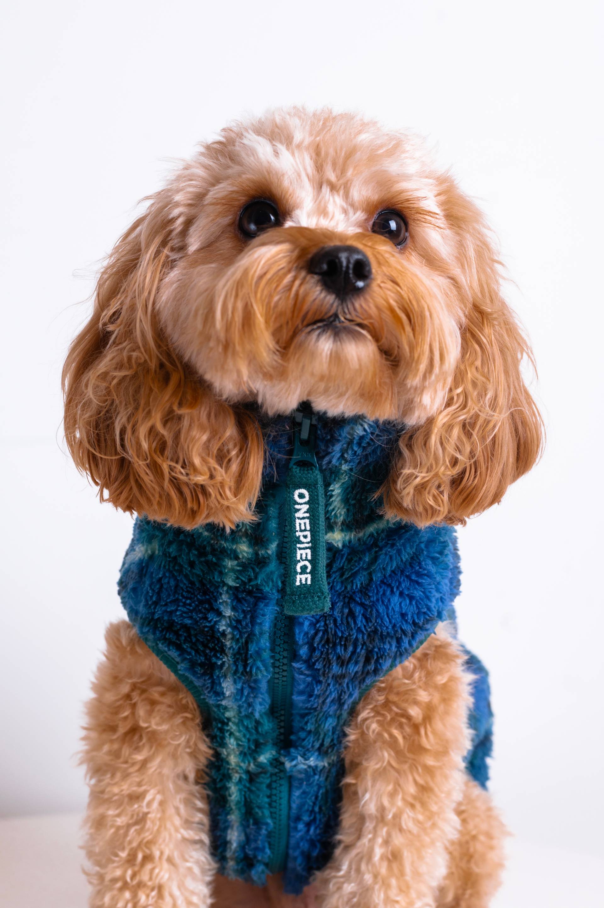 Onepiece The Dog Onesie Green Check - 4