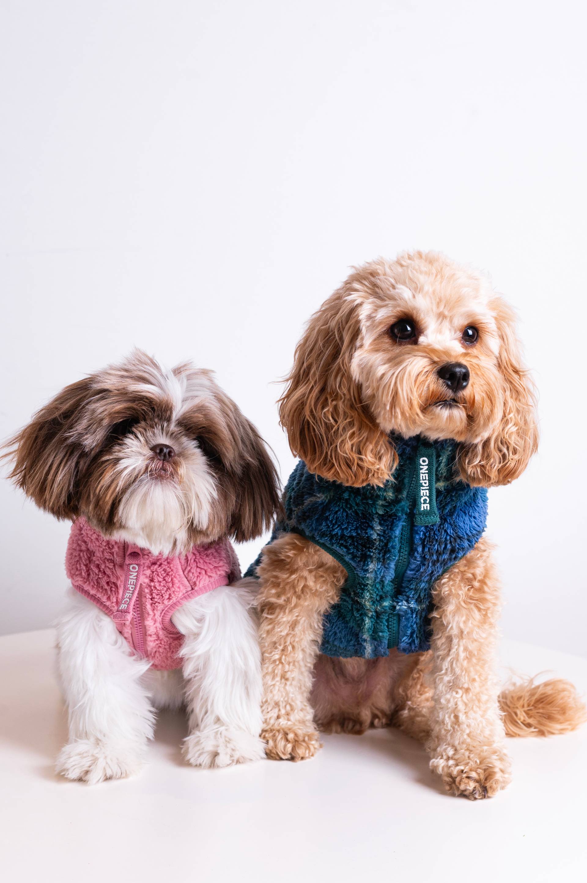 Onepiece The Dog Onesie Green Check - 6
