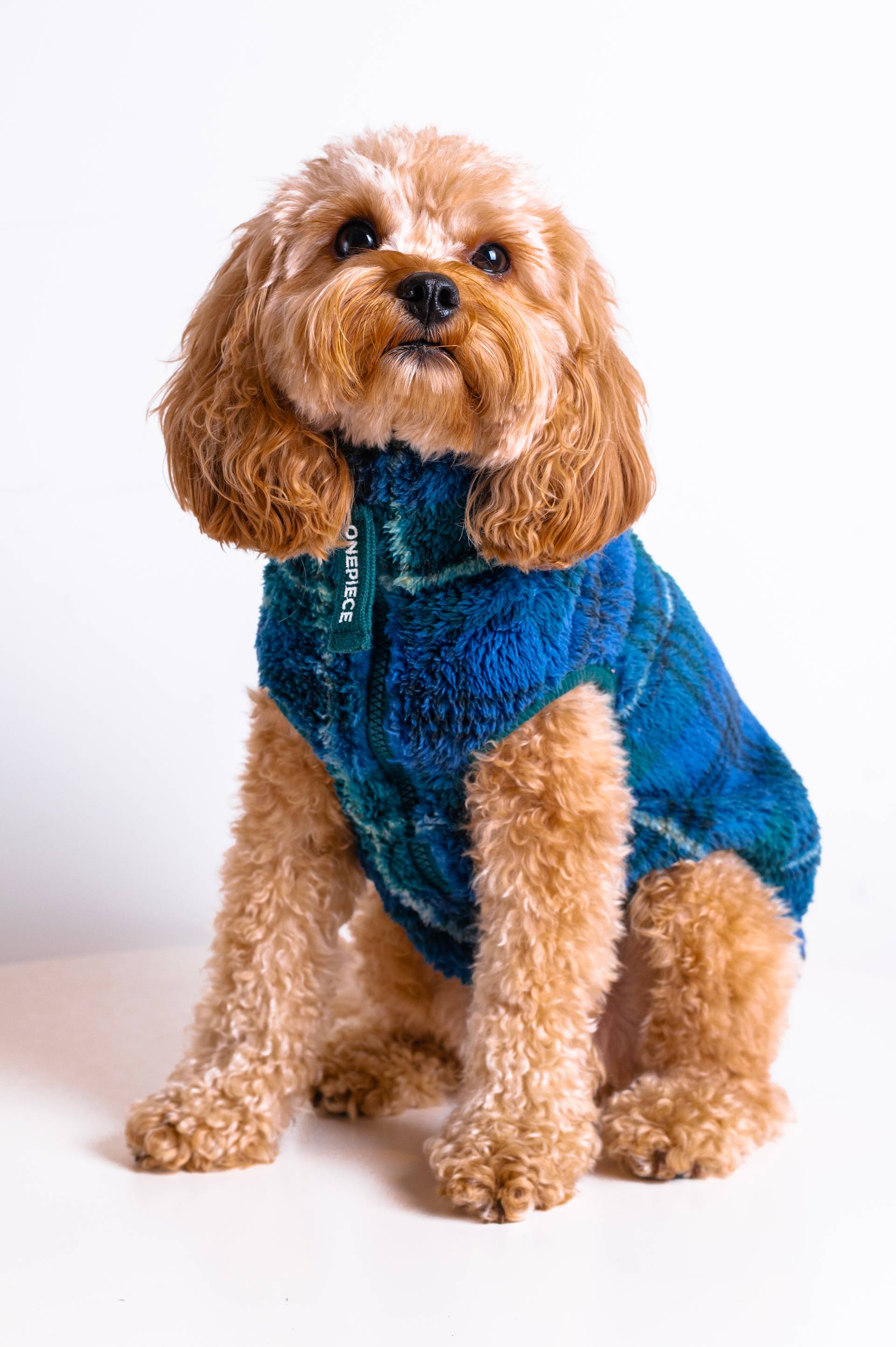 Onepiece The Dog Onesie Green Check - 2
