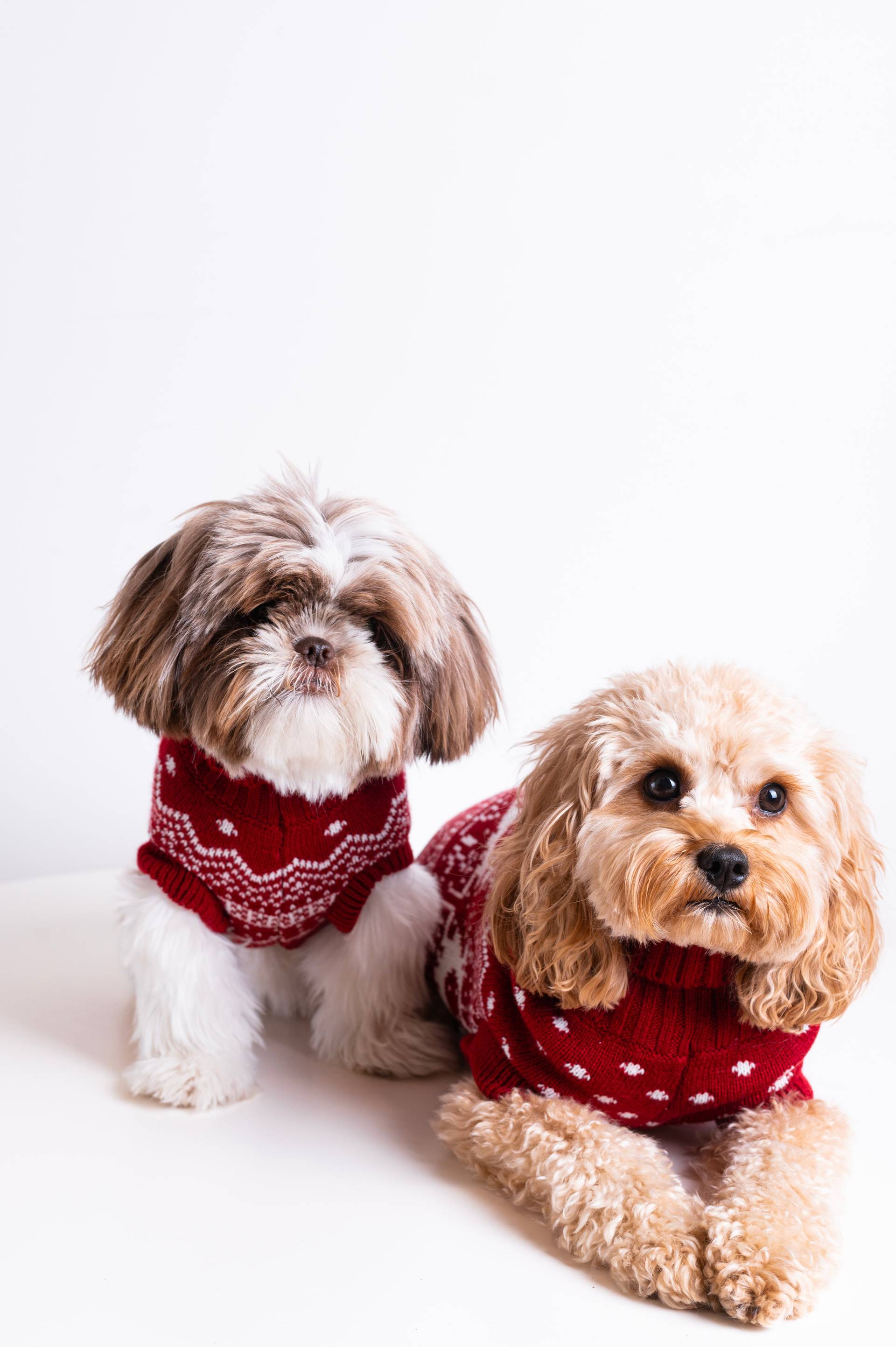 Onepiece The Dog Holiday Onesie Red - 7