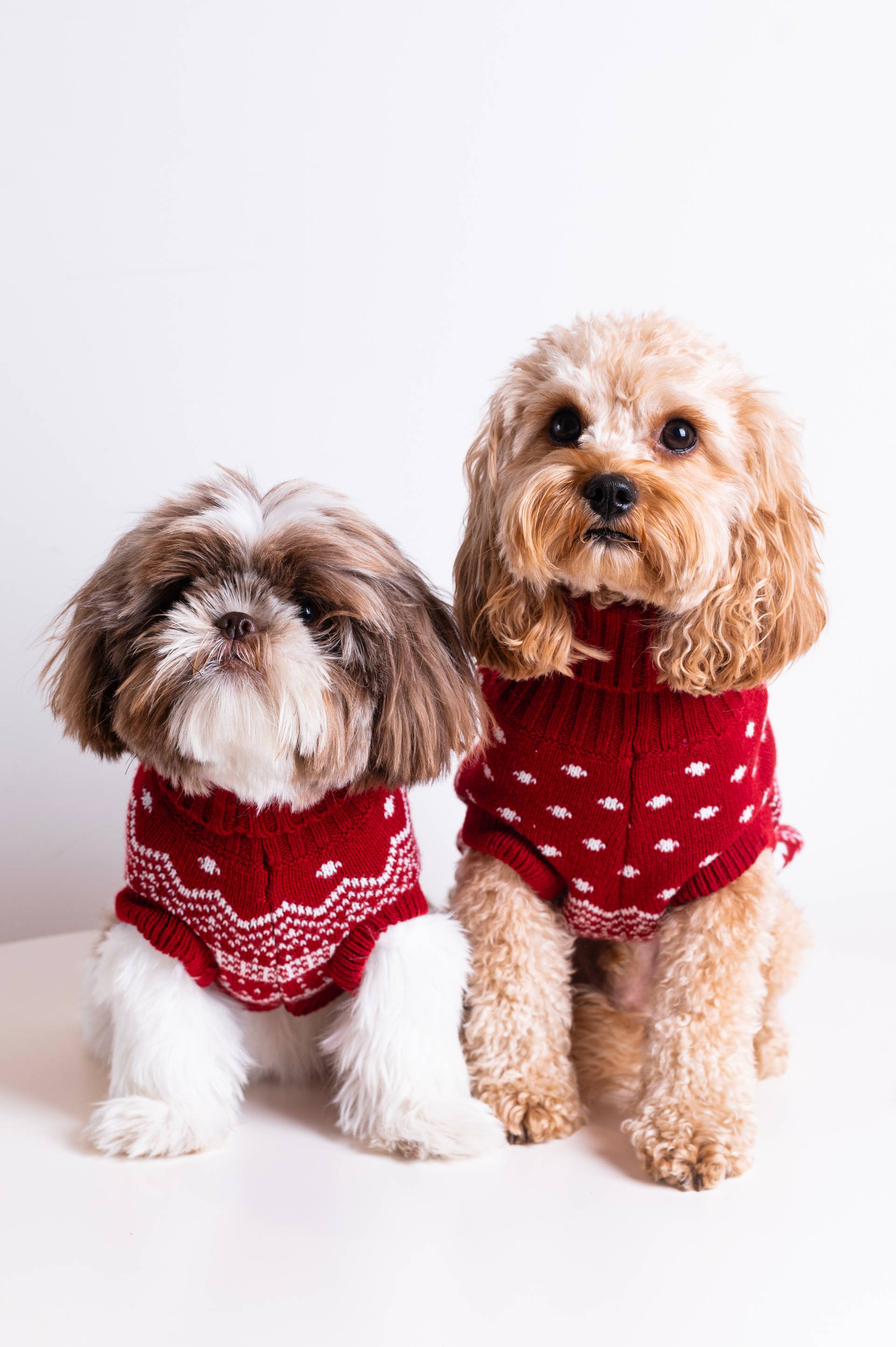 Onepiece The Dog Holiday Onesie Red - 6