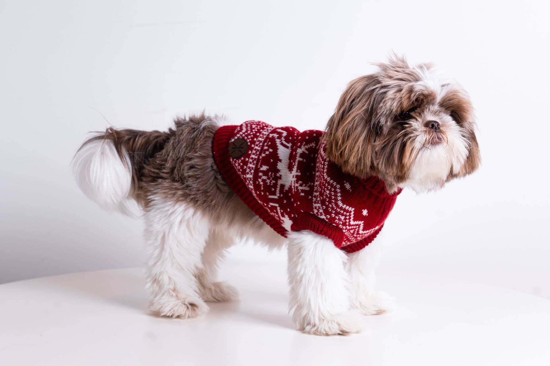 Onepiece The Dog Holiday Onesie Red - 2