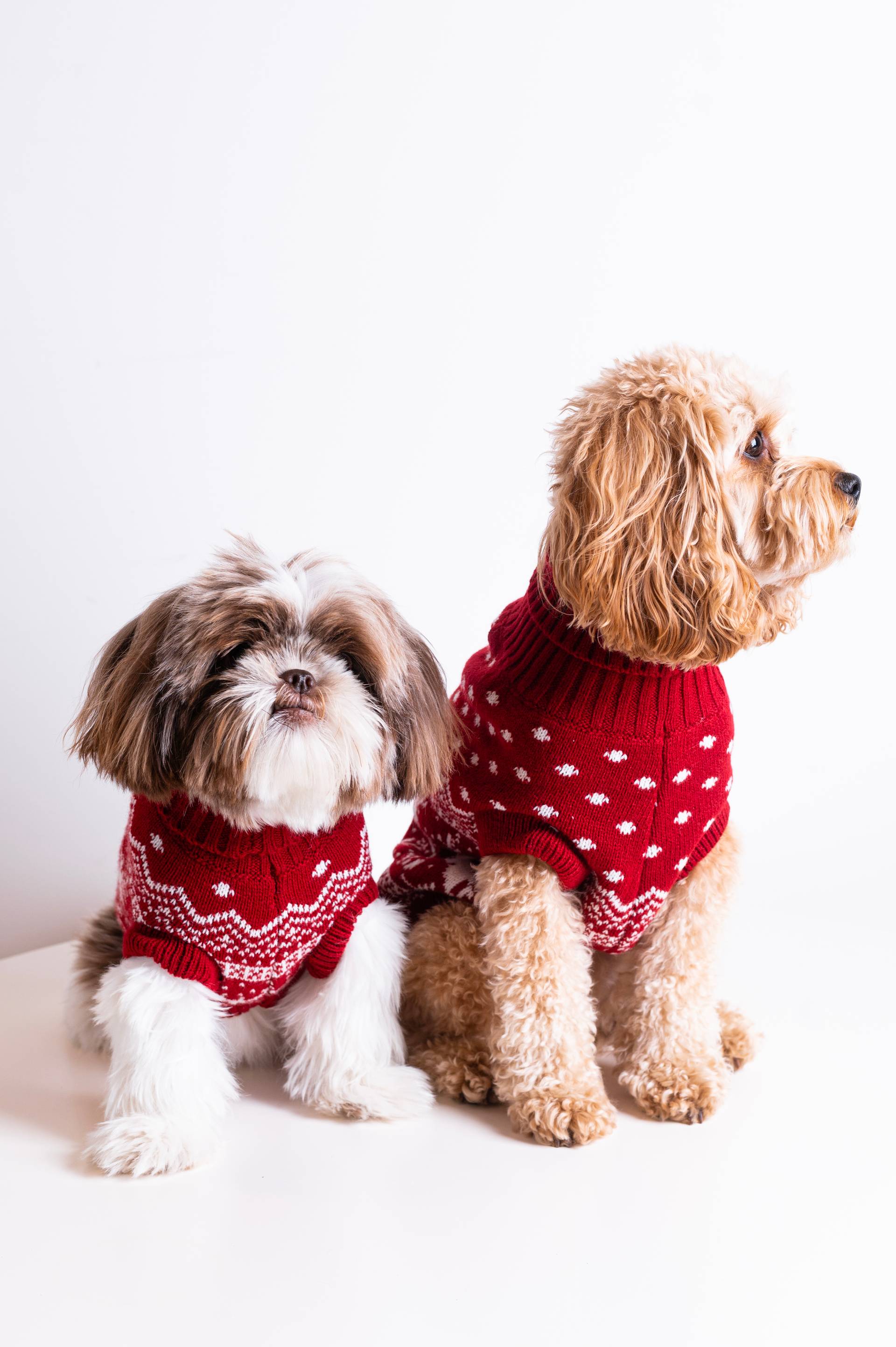 Onepiece The Dog Holiday Onesie Red - 5